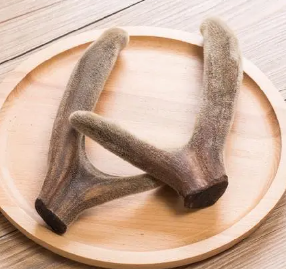 滋补圣品鹿茸有哪些食用方法及功效