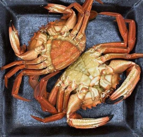 怀孕食疗保健
