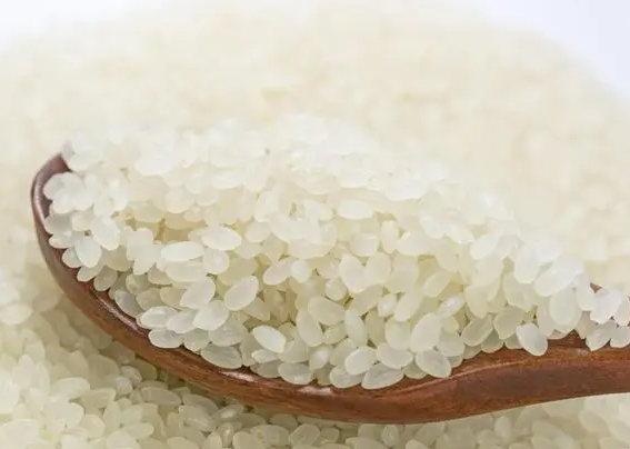 养肠胃的食物有哪些 养肠胃食谱有哪些