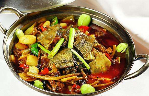 甲鱼加什么煲汤最好 防病祛病的好膳食