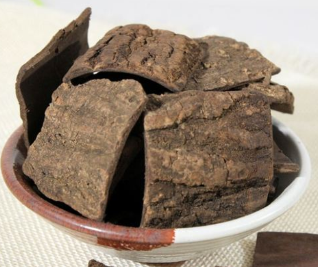 中药盐杜仲的功效与作用