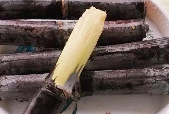 病毒性心肌炎非常严重 可用饮食疗法治疗