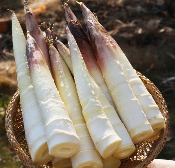 神经衰弱的食疗方法