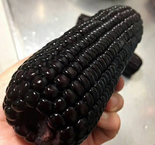 怎样白发变黑发,食疗效果好