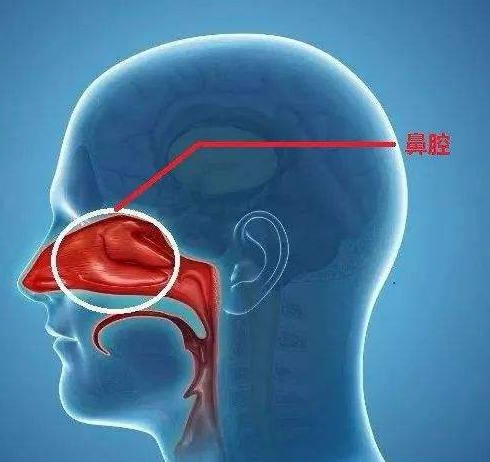 慢性鼻窦炎食疗方法 慢性鼻窦炎怎么治疗？