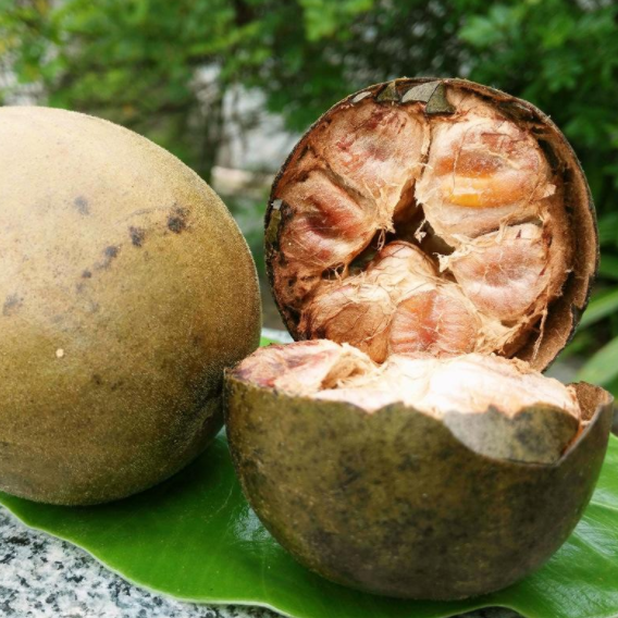 那地方干痒痛，其实你只需要一杯茶