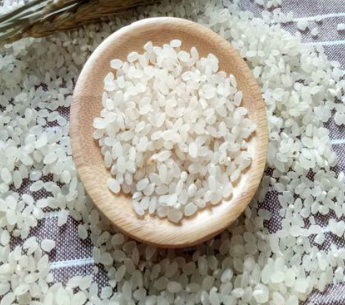 养胃的食物与正确途径