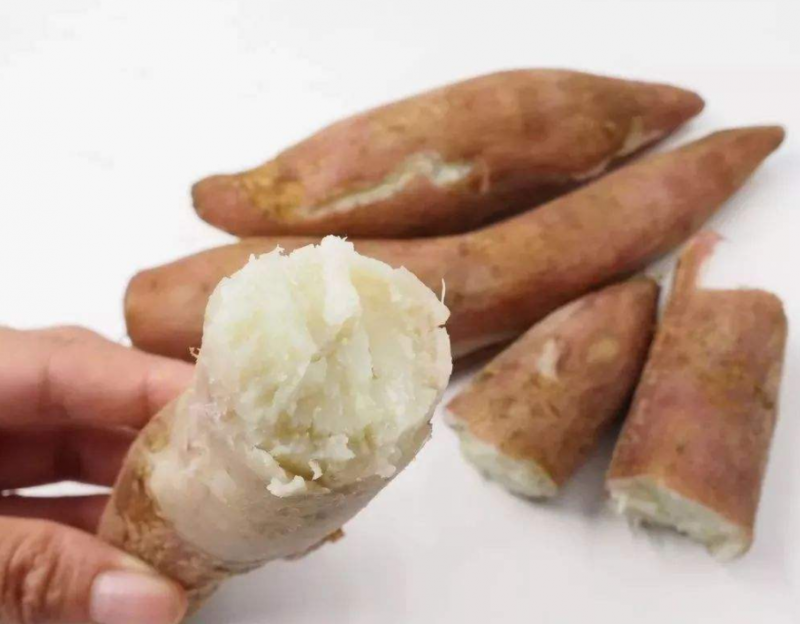白薯不能和什么一起吃?吃多了有哪些危害？