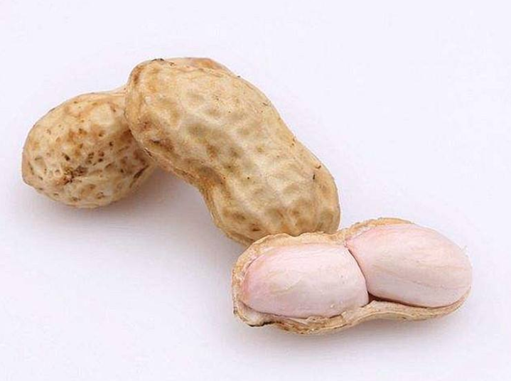 肠胃不适食疗方法有哪些