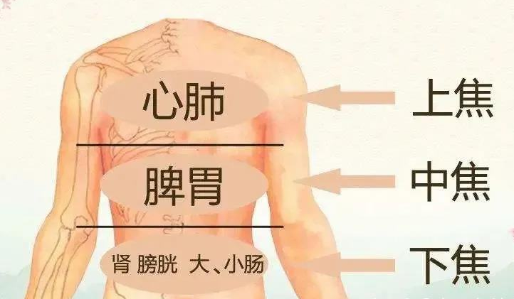 湿热不能吃什么 吃什么去湿热最好最快