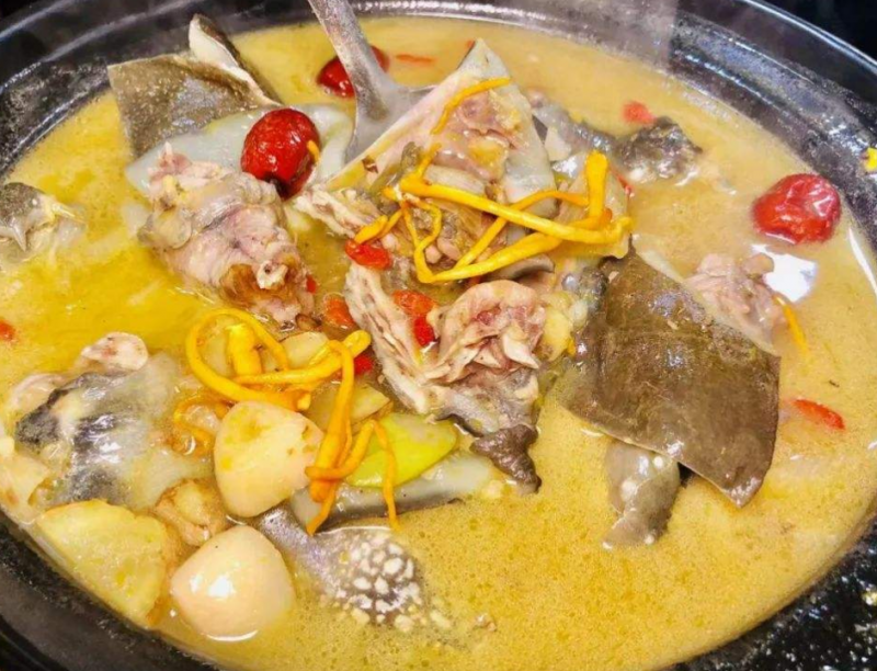 甲鱼汤怎么做好喝又营养 甲鱼和什么煲汤最好