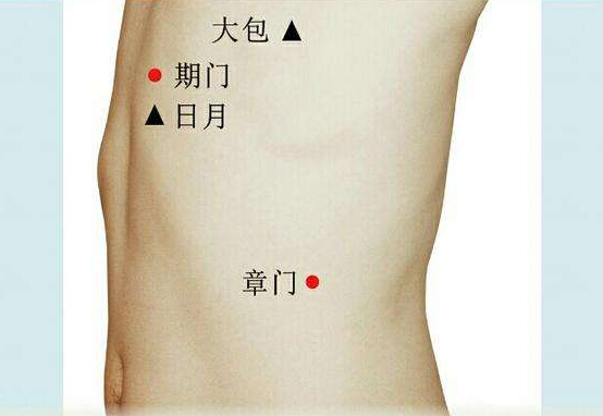 章门的准确位置 章门的作用及功效