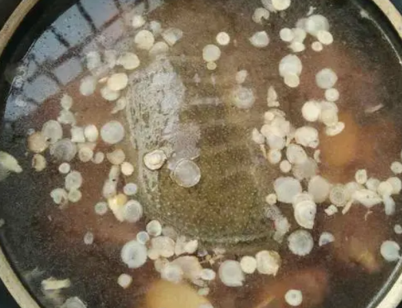 甲鱼炖什么补肾