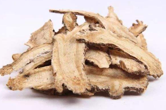 一种药五脏都能调理