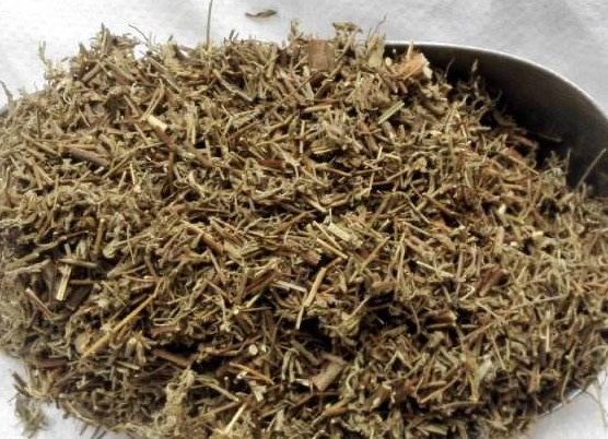 香薷泡水喝可以治疗口臭吗 香薷和佩兰哪个治口臭效果好