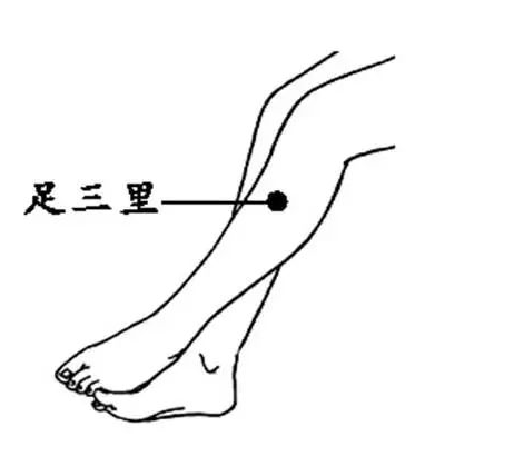 足三里的准确位置定位 足三里怎么按摩比较好