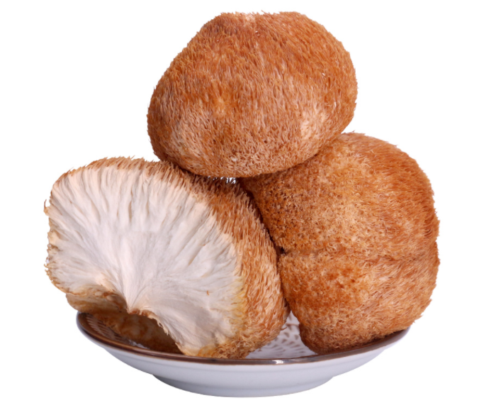干猴头菇怎么泡发最好 干猴头菇怎样吃才能养胃