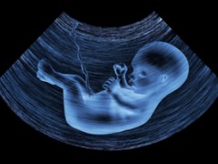 怀孕了还可以喂母乳吗