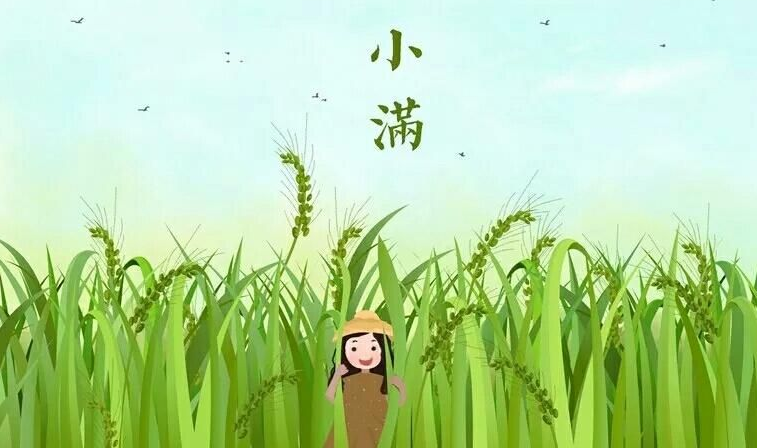 小满节气的含义和由来 小满节气有什么特点