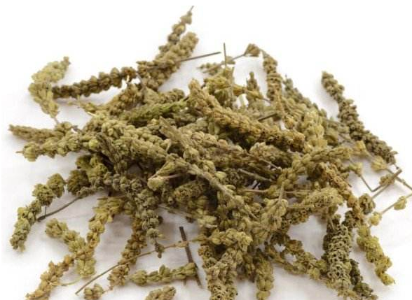 荆芥穗的作用与功效 荆芥穗与荆芥的区别