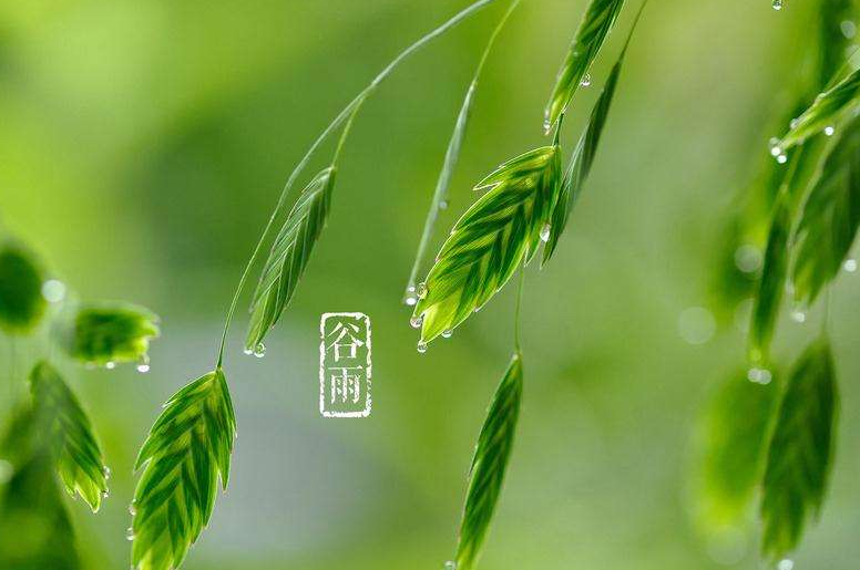 谷雨节气的含义是什么 谷雨吃什么传统美食