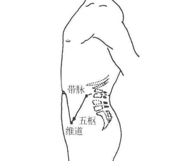 敲打带脉的最佳时间 敲带脉多久能把肚子减下来
