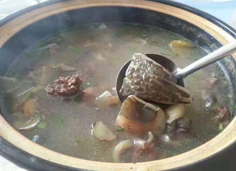 甲鱼汤怎么炖滋补作用强 吃甲鱼要注意的七大禁忌