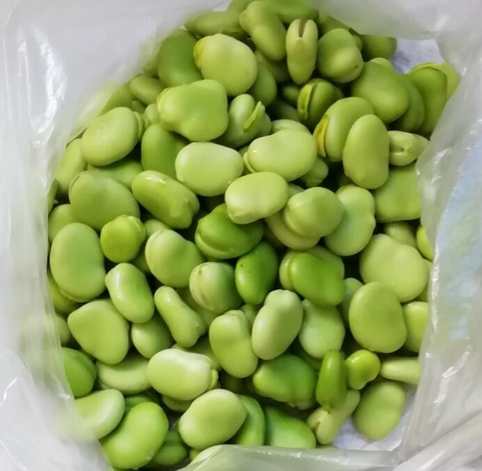 蚕豆的功效与作用禁忌 蚕豆是酸性食物还是碱性食物