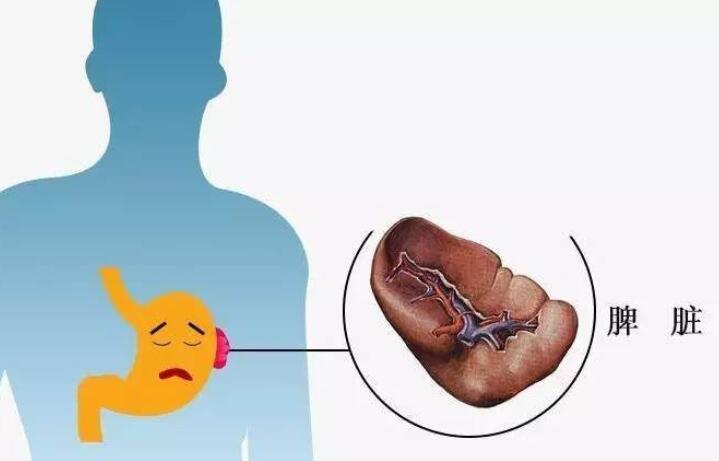 脾虚是什么原因造成的 脾虚吃什么食物补得最快