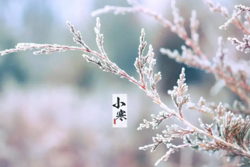 小寒是几月几号 2021年小寒是几月几日几点