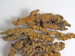 孕妇吃什么补铁效果最好