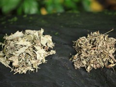 女人如何缩阴的锻炼方法 阴道松弛怎么办