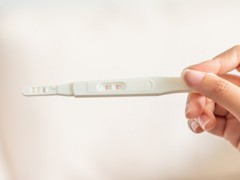 排卵后多久可以测出怀孕