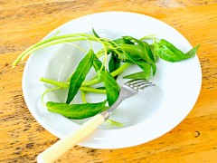 夏季饮食小常识