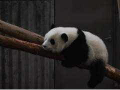 尿频尿急是怎么回事 尿不尽是什么原因造成的？怎么治？