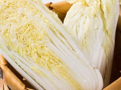 为什么宝宝会出现湿疹？