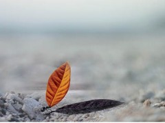 一感冒就鼻塞、流鼻涕，怎么办？