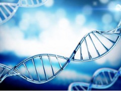 哪些奶粉含乳铁蛋白 放心奶粉就选它
