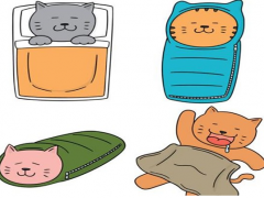儿童睡袋哪种款式好 儿童睡袋该怎么选择
