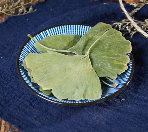 银杏叶茶的功效与作用 银杏叶茶的注意事项