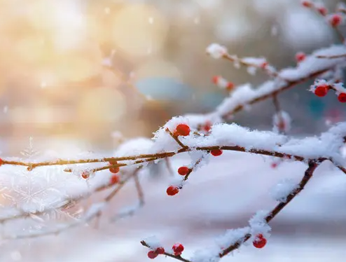 大雪节气是在哪一天 最近下大雪那天是几号