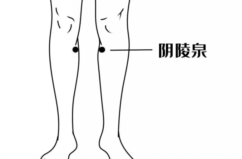 阴陵泉的功效与作用 阴陵泉的定位方法