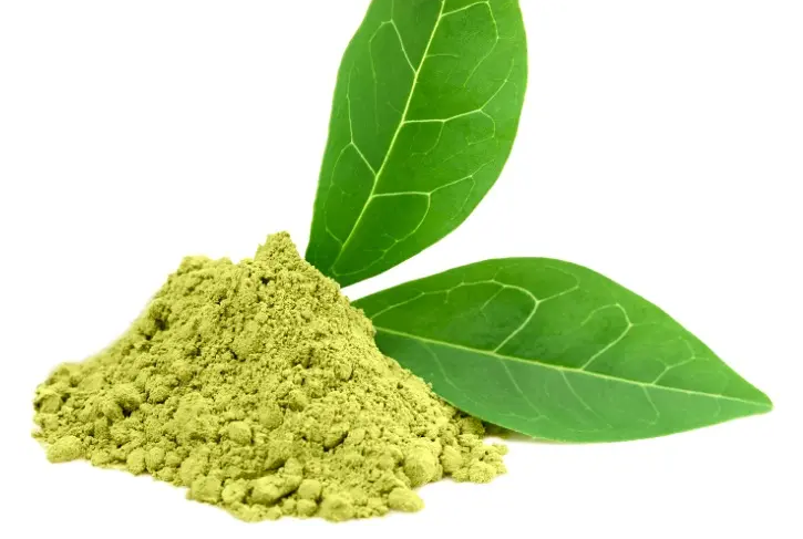 儿茶素的功效与作用 儿茶素的注意事项