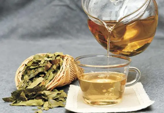 柿子叶茶的功效与作用 柿子叶泡水能天天喝吗
