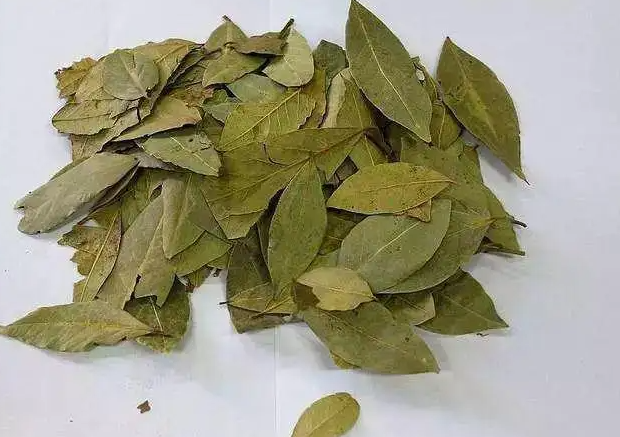 番泻叶的作用和副作用 番泻叶一天吃多少