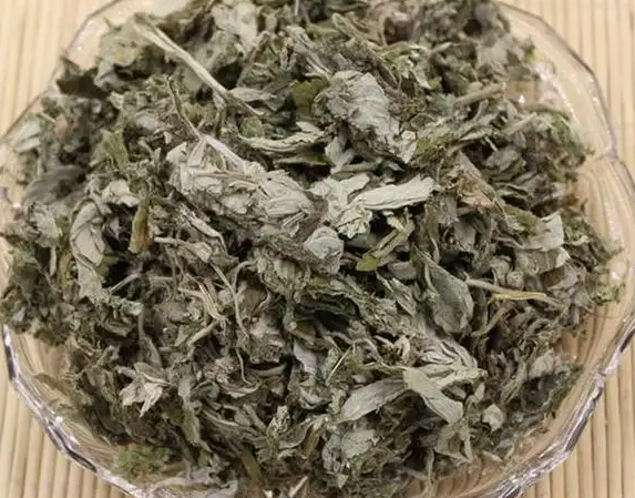 艾叶艾蒿和艾草是同一植物吗 艾叶艾蒿艾草的区别