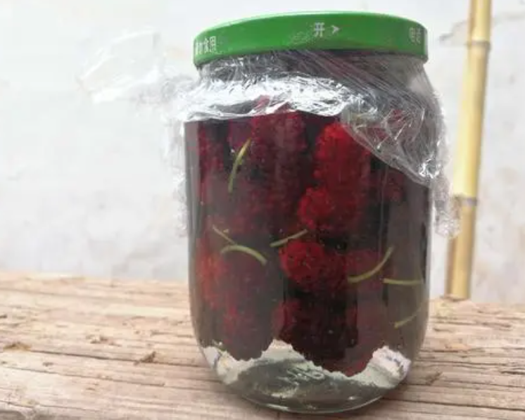 用桑葚泡酒是用新鲜的还是干的好 一斤桑葚泡几斤白酒