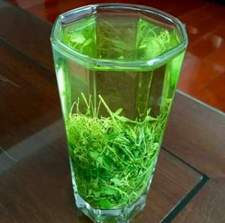 绞股蓝茶的功效与禁忌 绞股蓝茶什么人不能喝