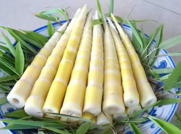新鲜竹笋剥皮剥到什么程度 剥竹笋的小技巧