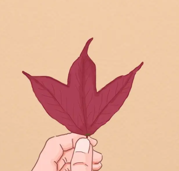 夹伤淤血怎么处理 淤血可以挑破吗